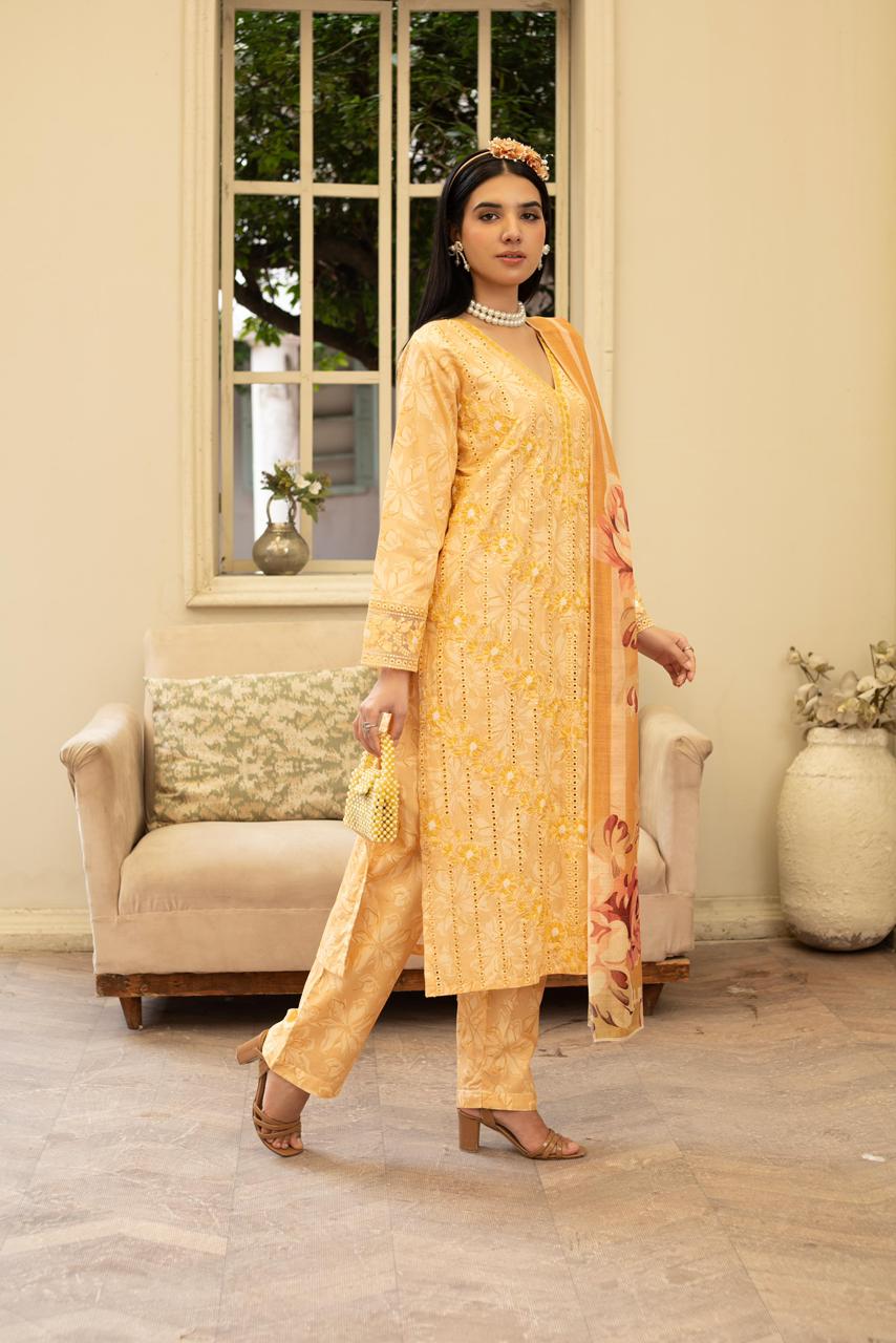 Golden Mustard Chickenkari Khaddar 3Pc with Motidana Handwork & Monaar Dupatta - Silk Rang